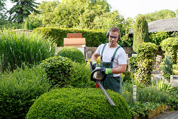 Best Lawn Renovation and Restoration  in Sparrow Bush, NY